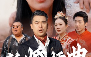 短剧《新婚插曲（29集）》短剧免费全集在线赏玩