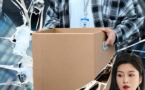 短剧《开除我后前公司倒闭了（31集）》免费短剧完整版在线看