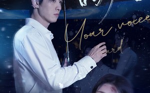 短剧《听见你的声音（80集）》短剧完整版免费畅享