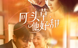 短剧《回头草，他好甜（80集）》短剧免费无广告观看