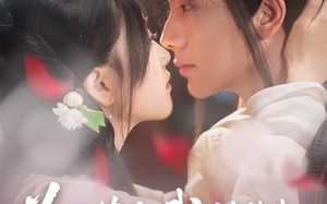 短剧《为了苟命我伪装失忆权臣白月光（74集）》短剧全集无删减观看