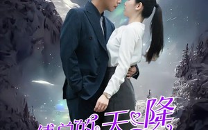 短剧《傅总的天降太子妃（86集）》短剧高清全集免费享