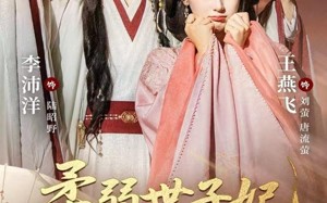 短剧《柔弱世子妃掀翻全京城（70集）》爆款短剧免费在线观赏