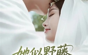 短剧《她似野藤，缠绕而上（51集）》免费短剧高清在线览