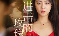 短剧《进击的玫瑰（82集）》精彩短剧免费高清在线追