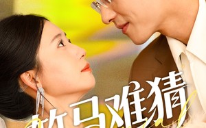 短剧《竹马难猜（81集）》热门短剧在线畅享观看