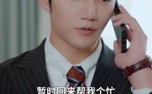 短剧《双生风云（92集）》精彩短剧全集免费速览