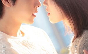 短剧《她任性他难哄（80集）》短剧无广告全集免费看