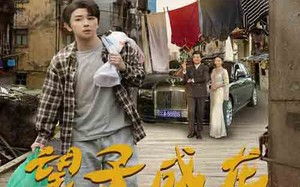 短剧《望子成龙（60集）》免费短剧全集畅享观看