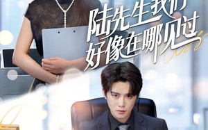 短剧《陆先生我们好像在哪见过（70集）》高分短剧免费全集线上看