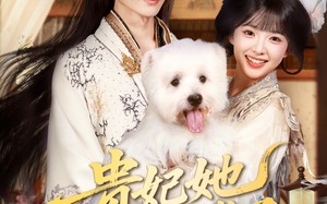 短剧《贵妃她不想卷了（60集）》短剧全集免费在线赏