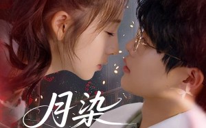 短剧《月染私桥（82集）》免费短剧全集无广告看