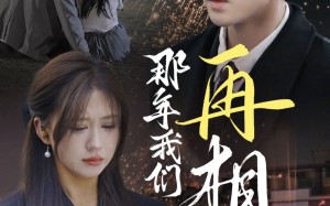 短剧《那年我们再相逢（65集）》短剧全集高清免费点播