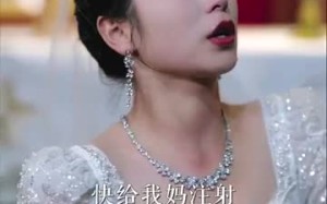 短剧《掌上蔷薇（46集）》短剧完整版免费观赏