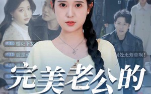 短剧《完美老公的千层套路（31集）》免费短剧全集高清在线