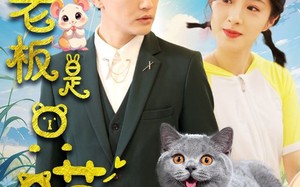 短剧《我的老板是只喵（86集）》热门短剧免费随心看