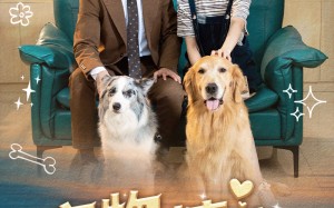 短剧《宠物情人（42集）》短剧全集免费在线享