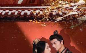 短剧《梦向楼心灯火归（37集）》短剧在线观看无广告版