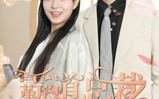 短剧《霸道总裁的刁蛮女友（73集）》爆款短剧免费畅享全集