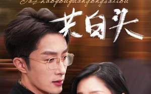 短剧《他朝有缘共白头（63集）》超火短剧全集免费畅观