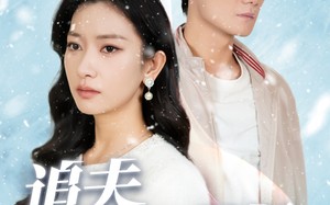 短剧《追夫火葬场（31集）》短剧免费在线全集看