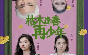 短剧《枯木逢春再少年（53集）》短剧免费全集在线览