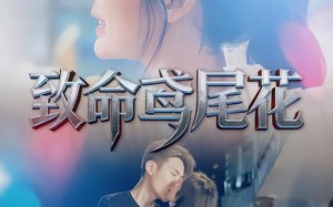 短剧《致命鸢尾花（60集）》热门短剧完整版免费播