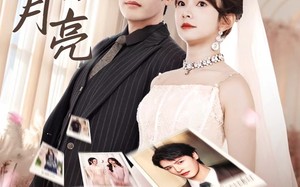 短剧《不做黯淡的月亮（33集）》短剧免费畅享完整剧情