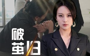 短剧《破茧不栖旧屋檐（30集）》精彩短剧免费全集速览