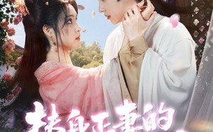 短剧《替身正妻的计中计（77集）》短剧全集免费高清观看