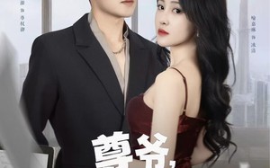 短剧《尊爷你的律政娇妻不好惹（81集）》热门短剧免费全集享