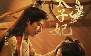 短剧《命定太子妃（63集）》免费短剧全集高清畅享