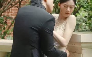 短剧《声色犬马（84集）》免费短剧全集畅享观看