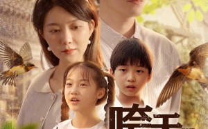 短剧《咵天巷子（60集）》免费短剧完整剧情观看