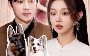 短剧《闪婚偏宠，夫人马甲有亿点多（85集）》短剧免费全集在线赏