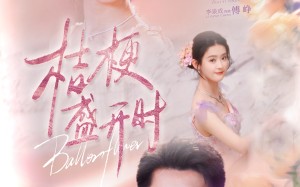 短剧《桔梗盛开时（92集）》短剧完整剧情在线观