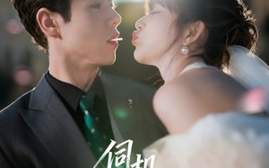 短剧《伺机宠婚（80集）》高清短剧免费全集观