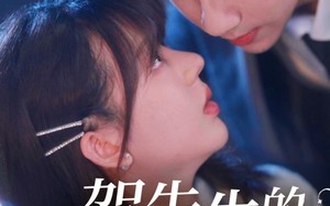 短剧《贺先生的隐婚蜜爱（81集）》短剧免费完整版在线看