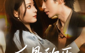 短剧《反骨称臣（71集）》热门短剧免费完整看