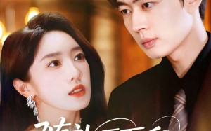 短剧《随礼五万后我娶了美女老板（97集）》优质短剧全集轻松看