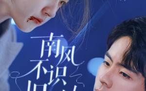 短剧《南风不识旧时人（63集）》短剧完整版免费在线赏