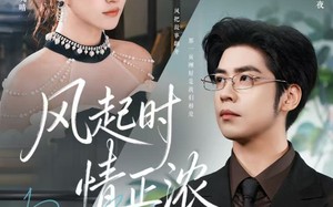 短剧《风起时情正浓（79集）》热门短剧全集在线免费追