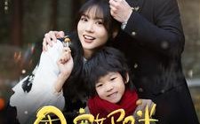 短剧《团宠妈咪带娃寻爹（100集）》短剧全集高清免费播