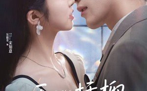 短剧《无心插柳爱成荫（80集）》爆款短剧免费全集速览