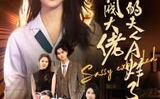 短剧《财阀大佬您的夫人A炸了（99集）》短剧免费看全集无删减