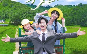 短剧《野蔷薇与多金先生（63集）》短剧高清全集免费速看