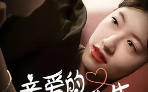 短剧《亲爱的赵先生（100集）》免费短剧全集精彩呈现
