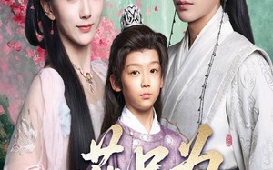 短剧《一花只为一树开（54集）》免费短剧全集随心看