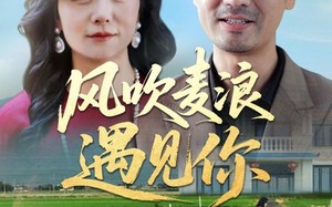 短剧《风吹麦浪遇见你（60集）》短剧完整剧情免费追看