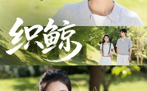 短剧《织鲸（86集）》爆款短剧高清全集播放